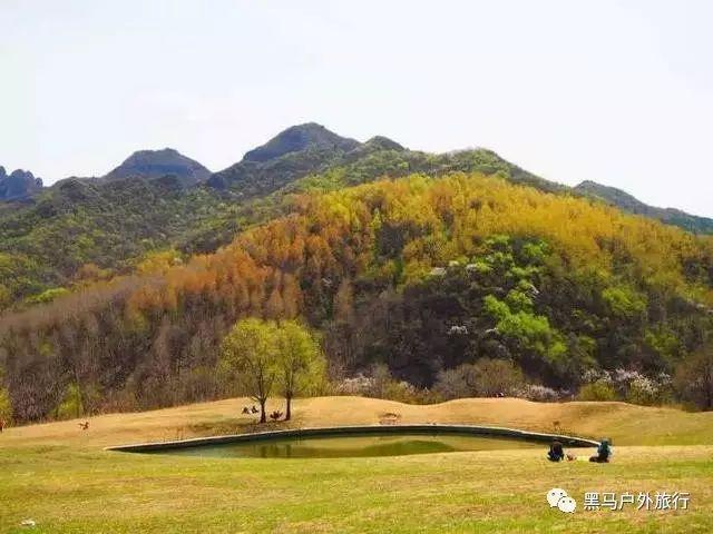 合力筑牢平安稳定的铜墙铁壁